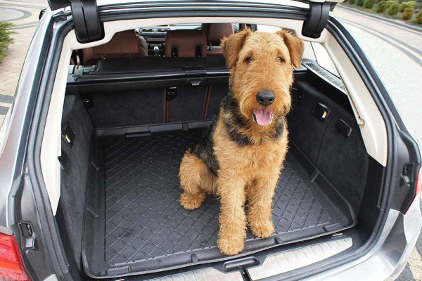 MANTA PROTECTORA MALETERO DE A4 / PASSAT Accesorios para Perros